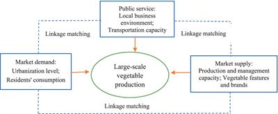 Exploring determinants of county suburban vegetable planting via the fsQCA-NCA approach